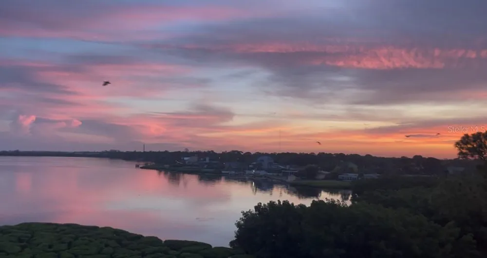 243 MARINER DRIVE #243 Tarpon Springs, FL 34689