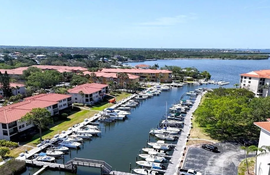 243 MARINER DRIVE #243 Tarpon Springs, FL 34689