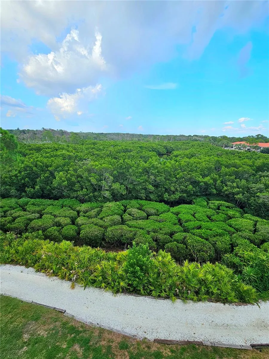 243 MARINER DRIVE #243 Tarpon Springs, FL 34689