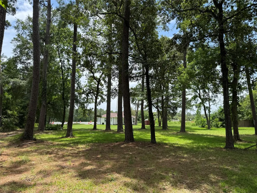 17230 Fm 1488 Road Magnolia, TX 77354