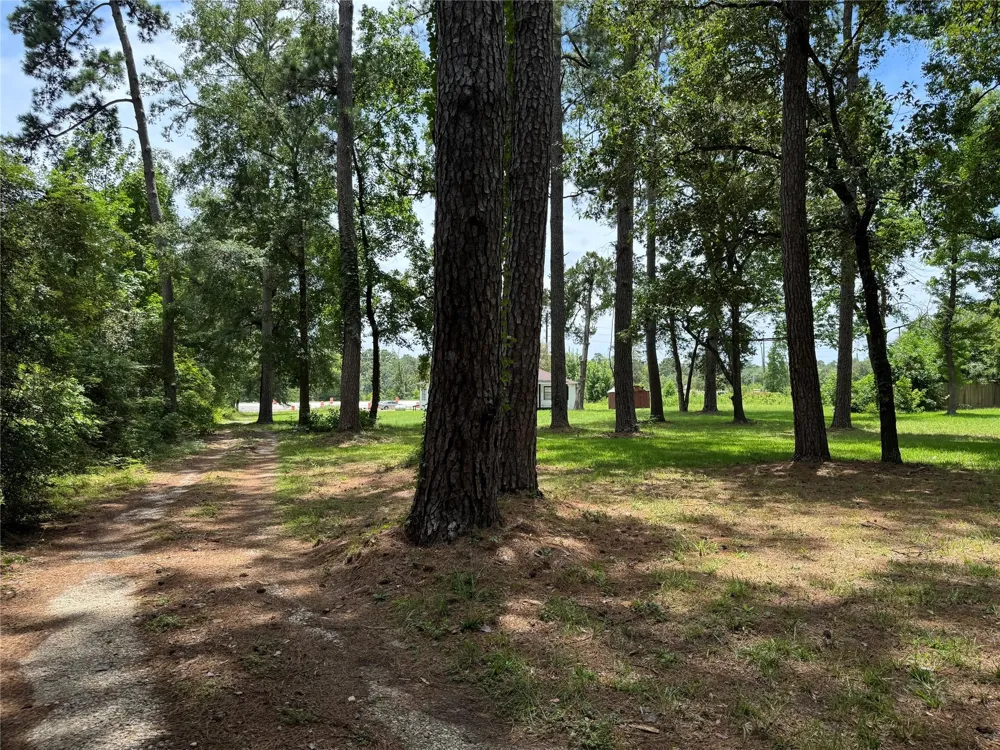 17230 Fm 1488 Road Magnolia, TX 77354
