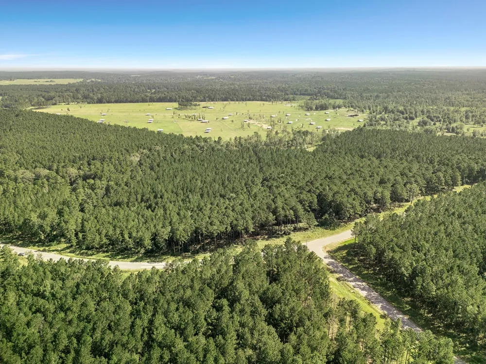 Queen Anne Way Huntsville, TX 77340