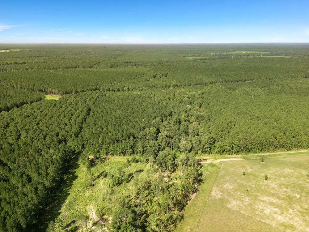 Queen Anne Way Huntsville, TX 77340