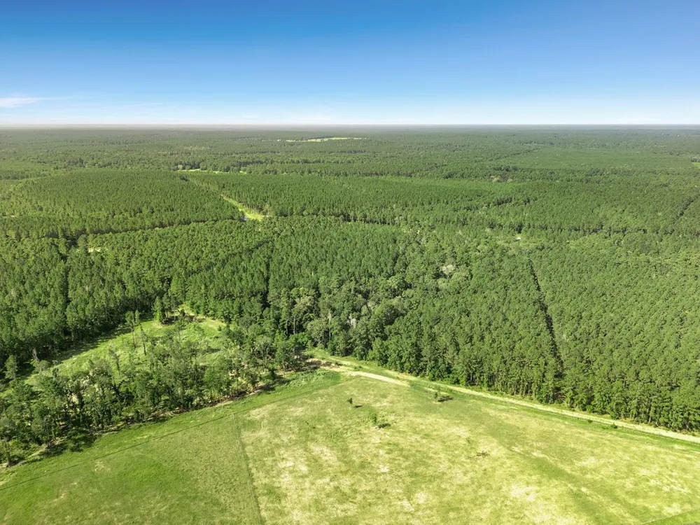 Queen Anne Way Huntsville, TX 77340