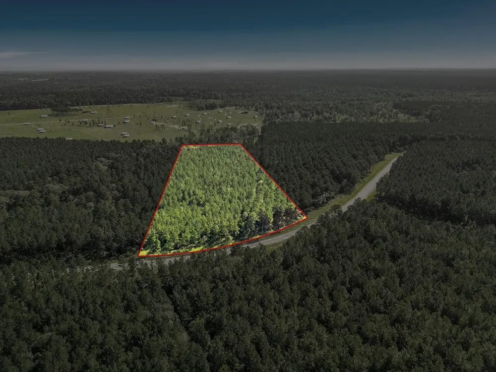 Queen Anne Way Huntsville, TX 77340