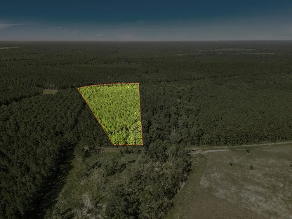 Queen Anne Way Huntsville, TX 77340