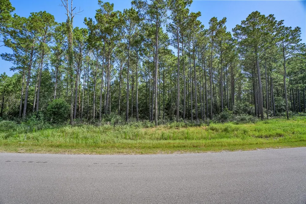 Queen Anne Way Huntsville, TX 77340