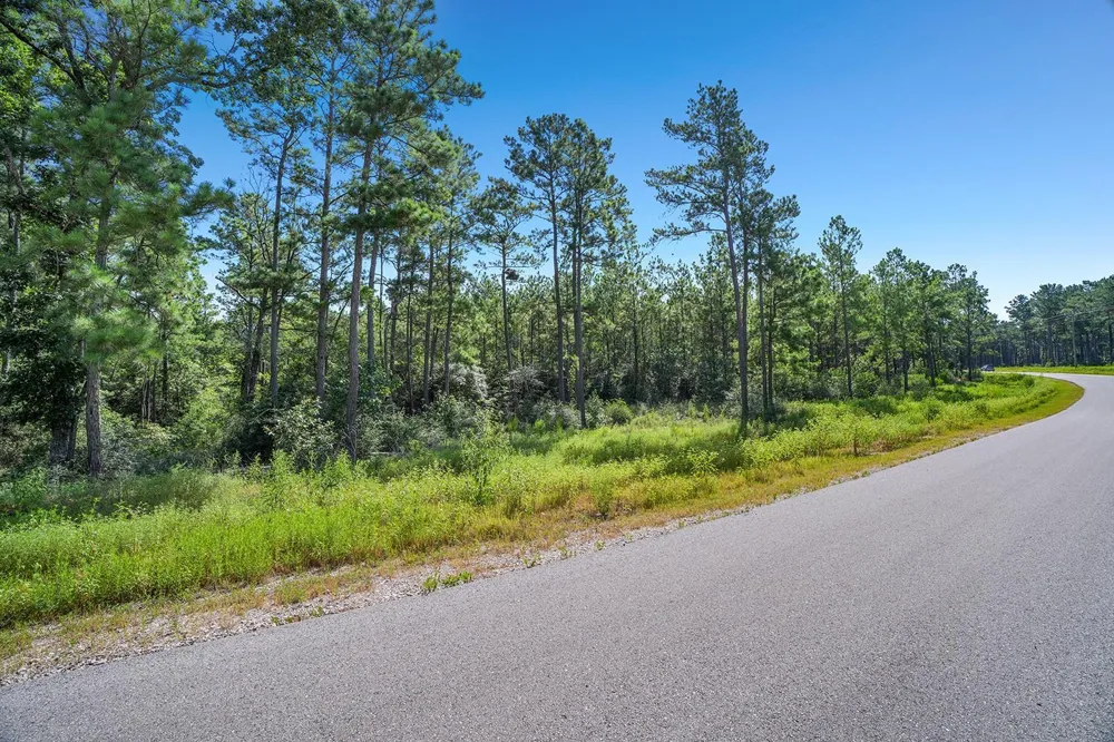 Queen Anne Way Huntsville, TX 77340