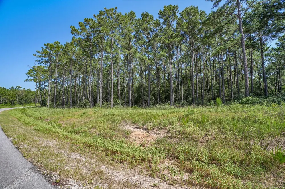 Queen Anne Way Huntsville, TX 77340