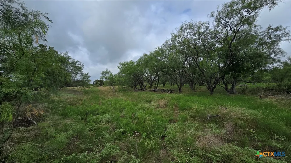 Country Lane Copperas Cove, TX 76522