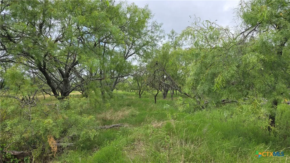 Country Lane Copperas Cove, TX 76522