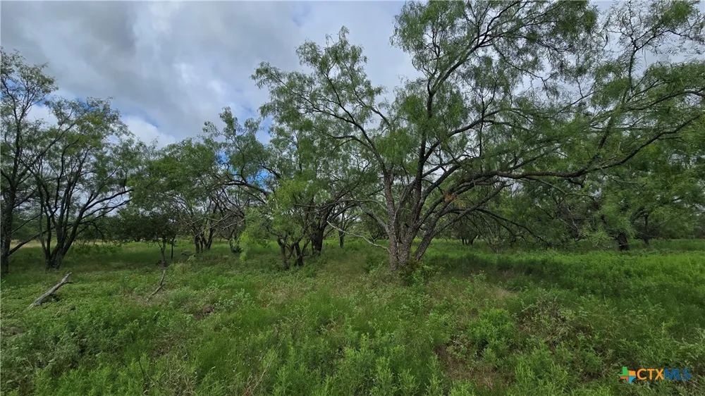 Country Lane Copperas Cove, TX 76522