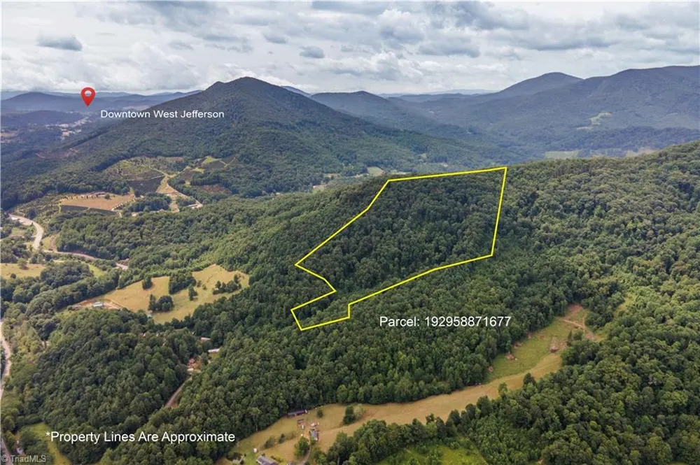 0 Tom Pless Road Warrensville, NC 28693