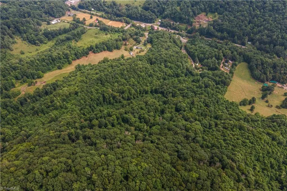 0 Tom Pless Road Warrensville, NC 28693
