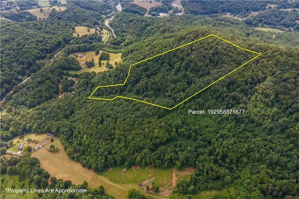 0 Tom Pless Road Warrensville, NC 28693