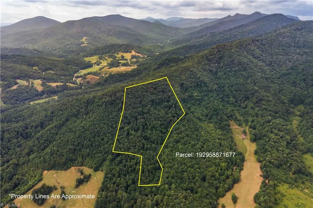 0 Tom Pless Road Warrensville, NC 28693