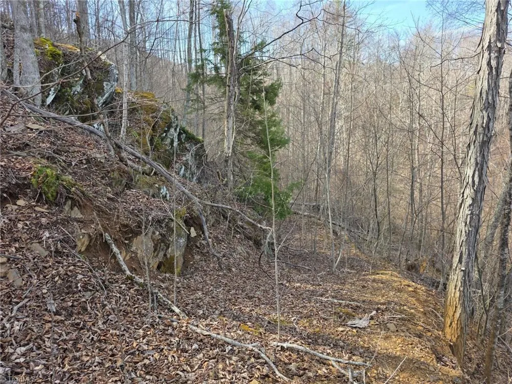 0 Tom Pless Road Warrensville, NC 28693