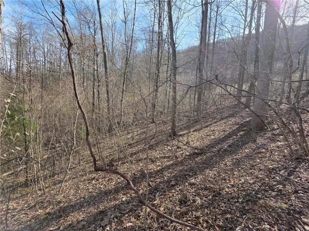 0 Tom Pless Road Warrensville, NC 28693