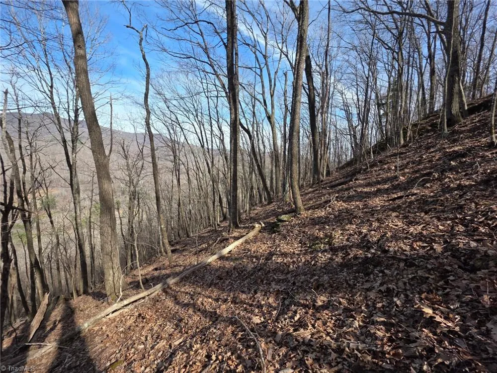 0 Tom Pless Road Warrensville, NC 28693