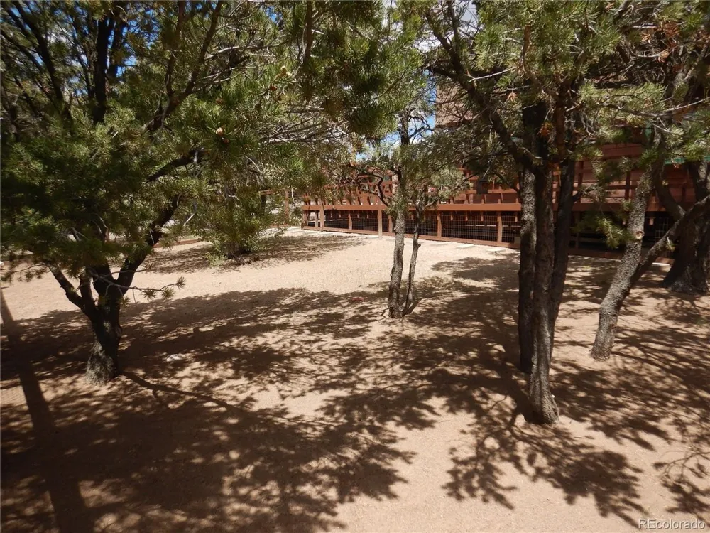 395 Kit Carson Road South Fork, CO 81154
