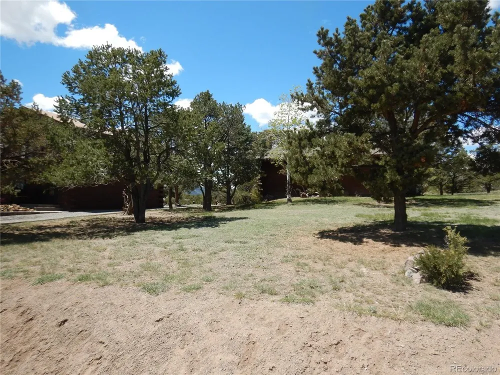 395 Kit Carson Road South Fork, CO 81154