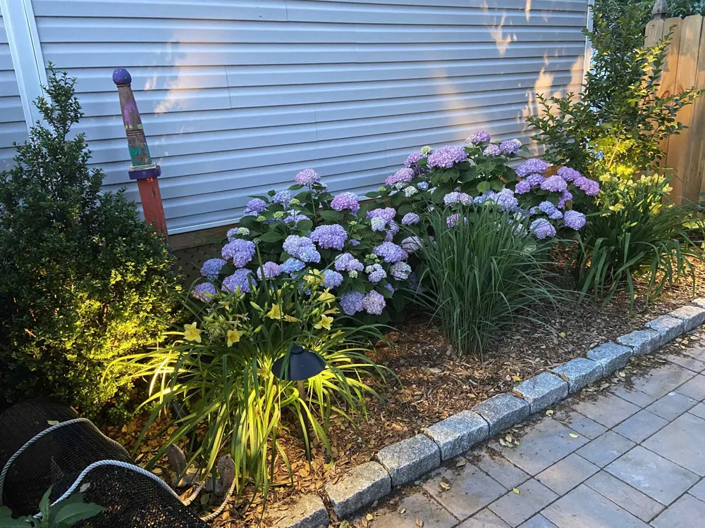 154 New Jersey Avenue Villas, NJ 08251