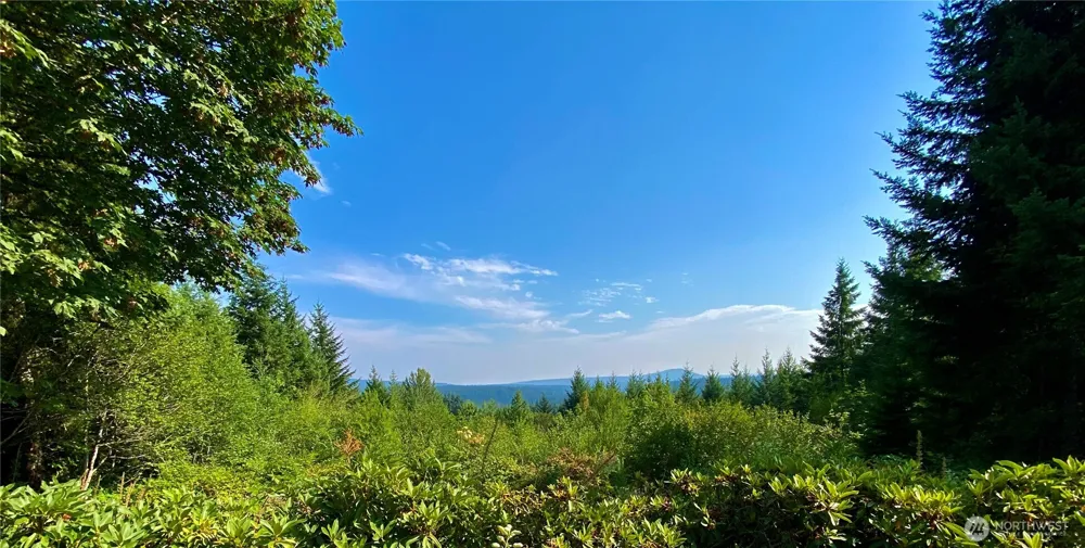 22709 NE 123rd Circle Brush Prairie, WA 98606