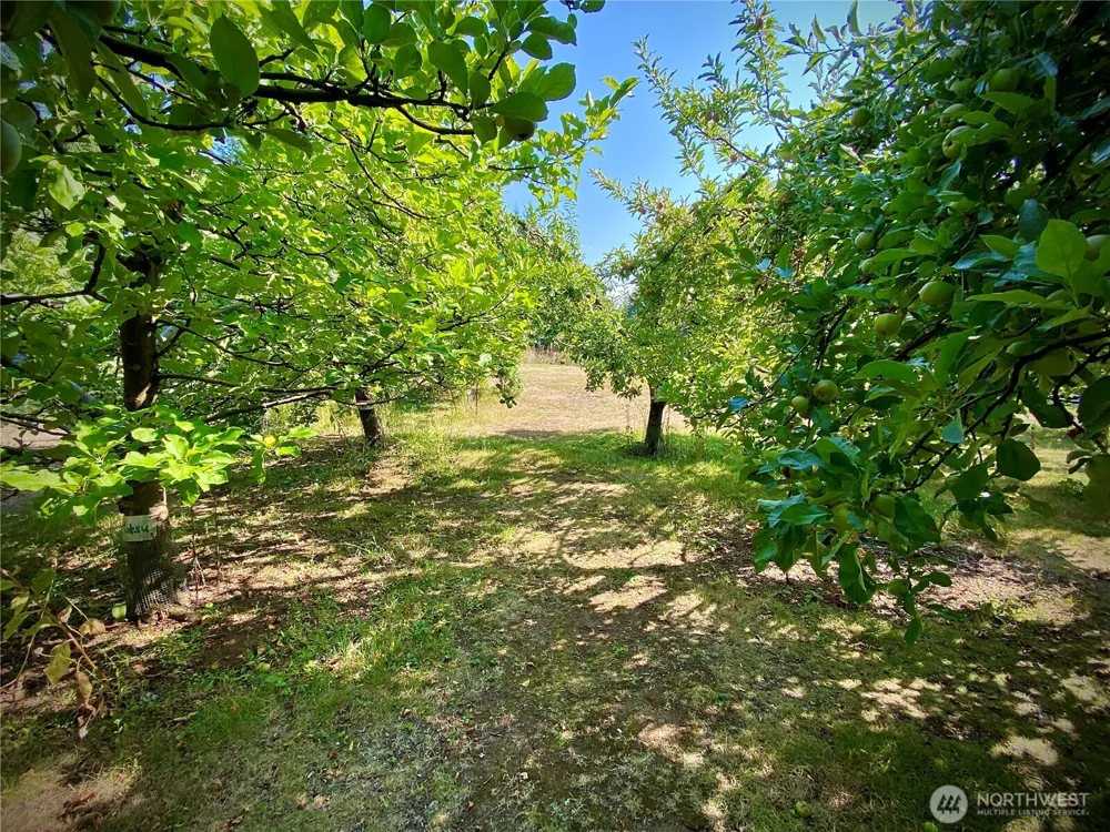 22709 NE 123rd Circle Brush Prairie, WA 98606