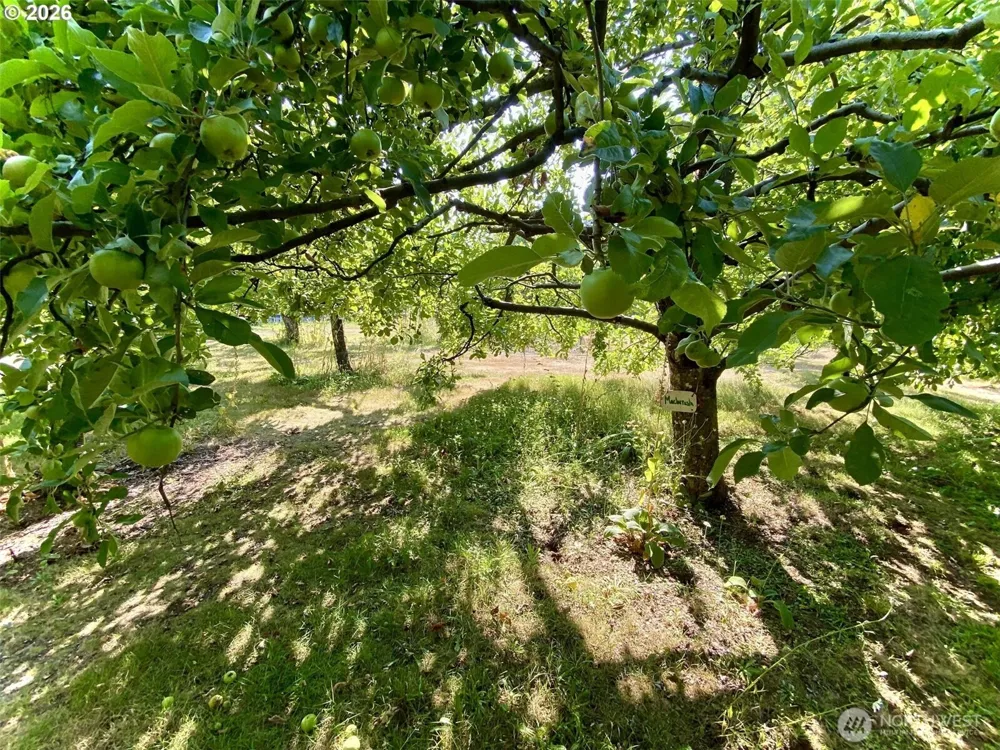 22709 NE 123rd Circle Brush Prairie, WA 98606