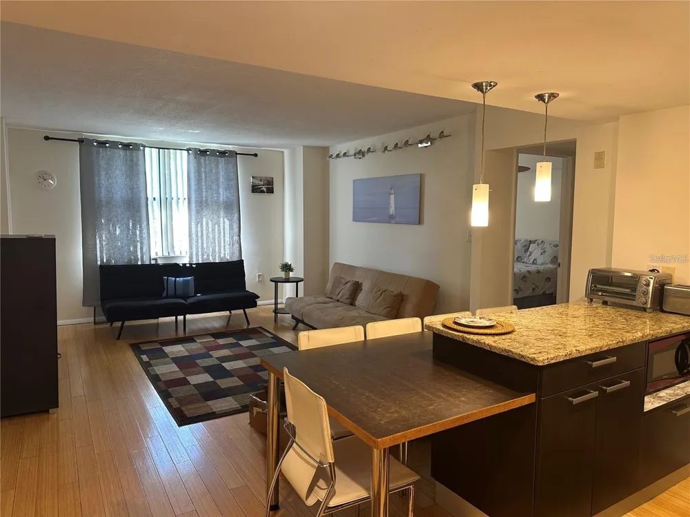 701 S MADISON AVENUE #410 Clearwater, FL 33756