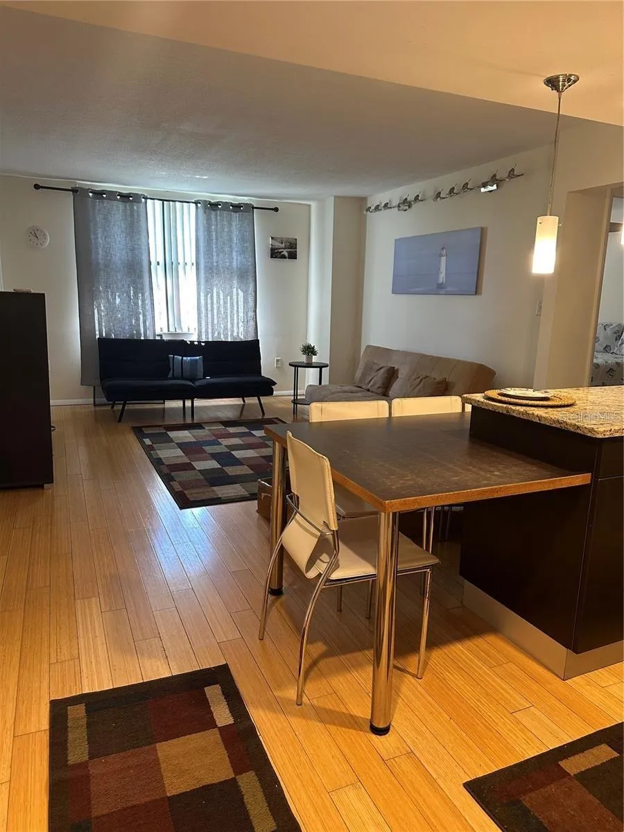 701 S MADISON AVENUE #410 Clearwater, FL 33756