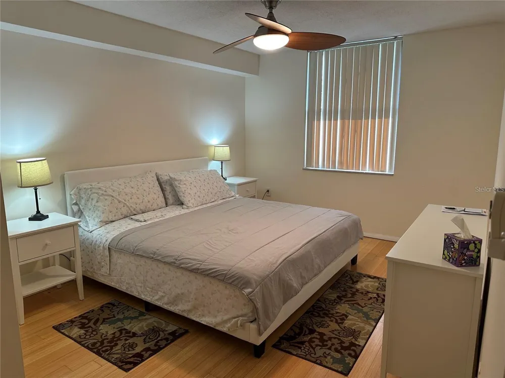 701 S MADISON AVENUE #410 Clearwater, FL 33756