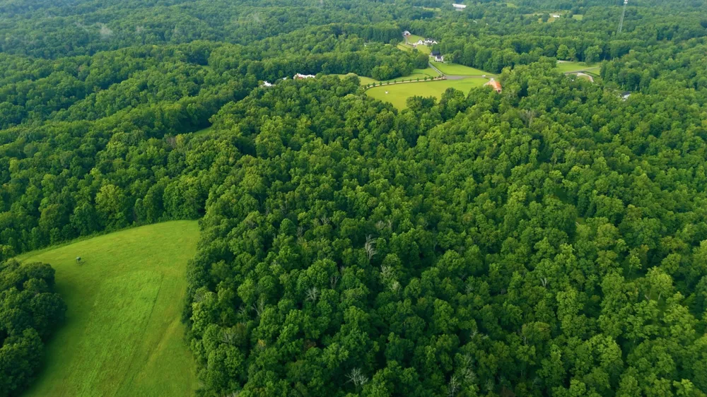 1 Casparis Rd Franklin, TN 37064