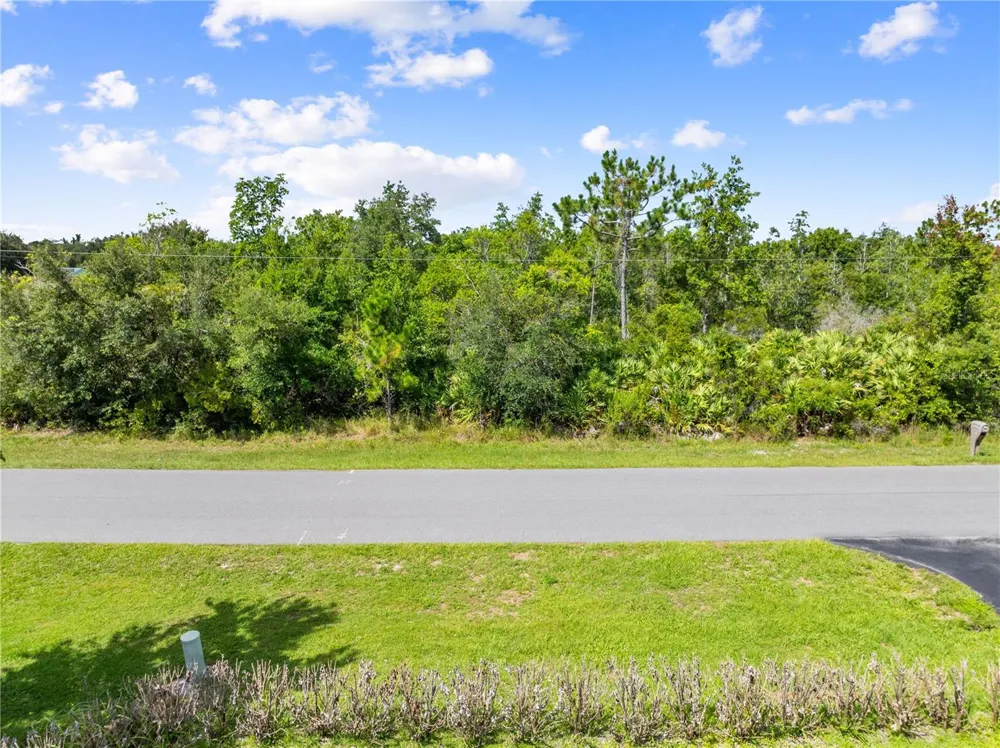2240 BRONCO DR St Cloud, FL 34771