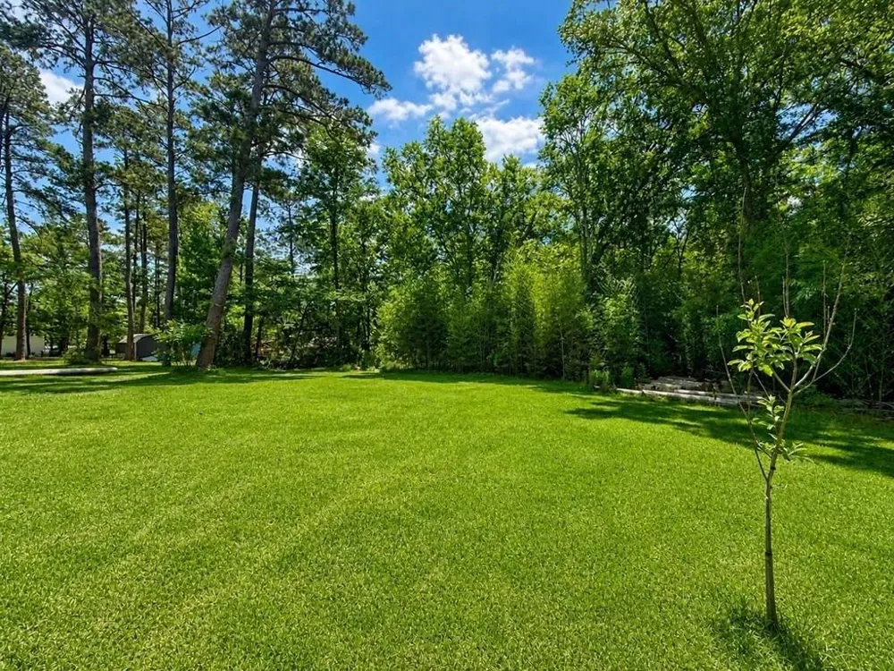 140 Private Road 6081 Burkeville, TX 75932