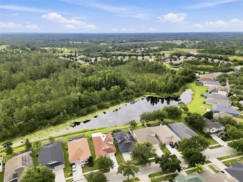 7806 GRASMERE DRIVE Land O Lakes, FL 34637