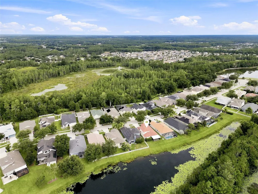 7806 GRASMERE DRIVE Land O Lakes, FL 34637