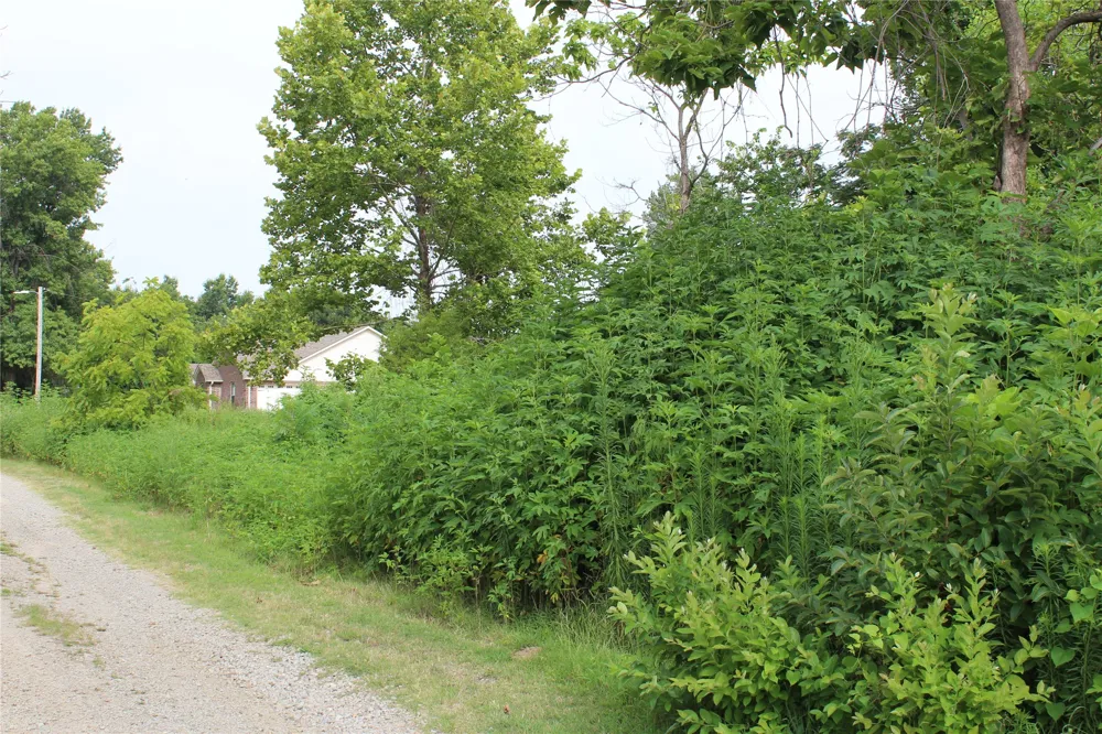 507 Overmon Eufaula, OK 74432