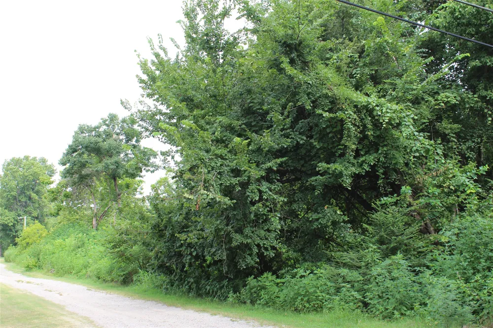 507 Overmon Eufaula, OK 74432