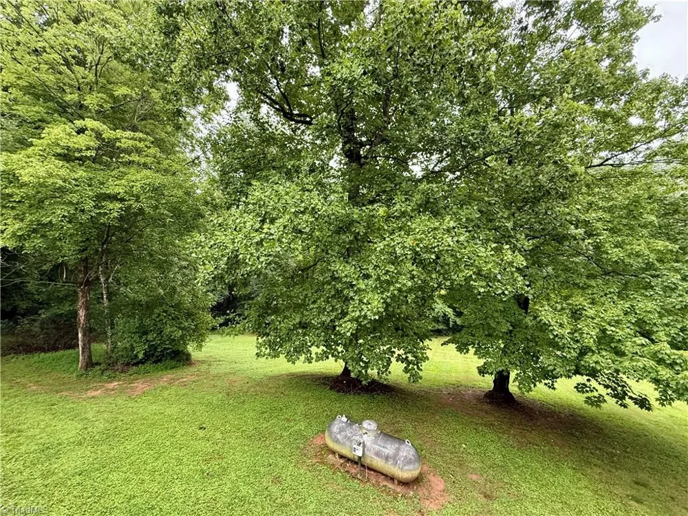 641 Nelson Lane Millers Creek, NC 28651