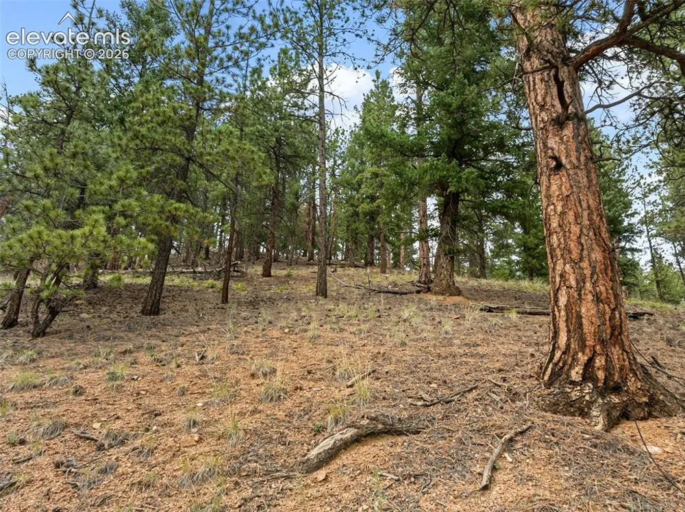 3919 County Road 33 Sedalia, CO 80135