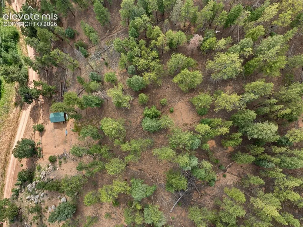 3919 County Road 33 Sedalia, CO 80135