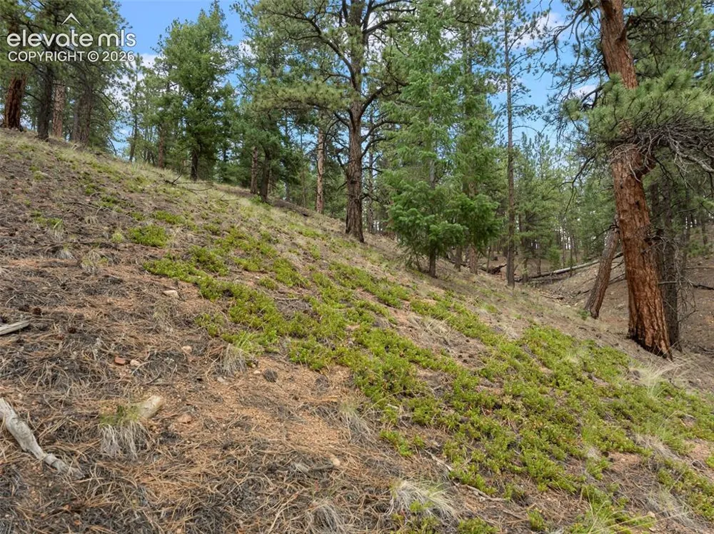 3919 County Road 33 Sedalia, CO 80135