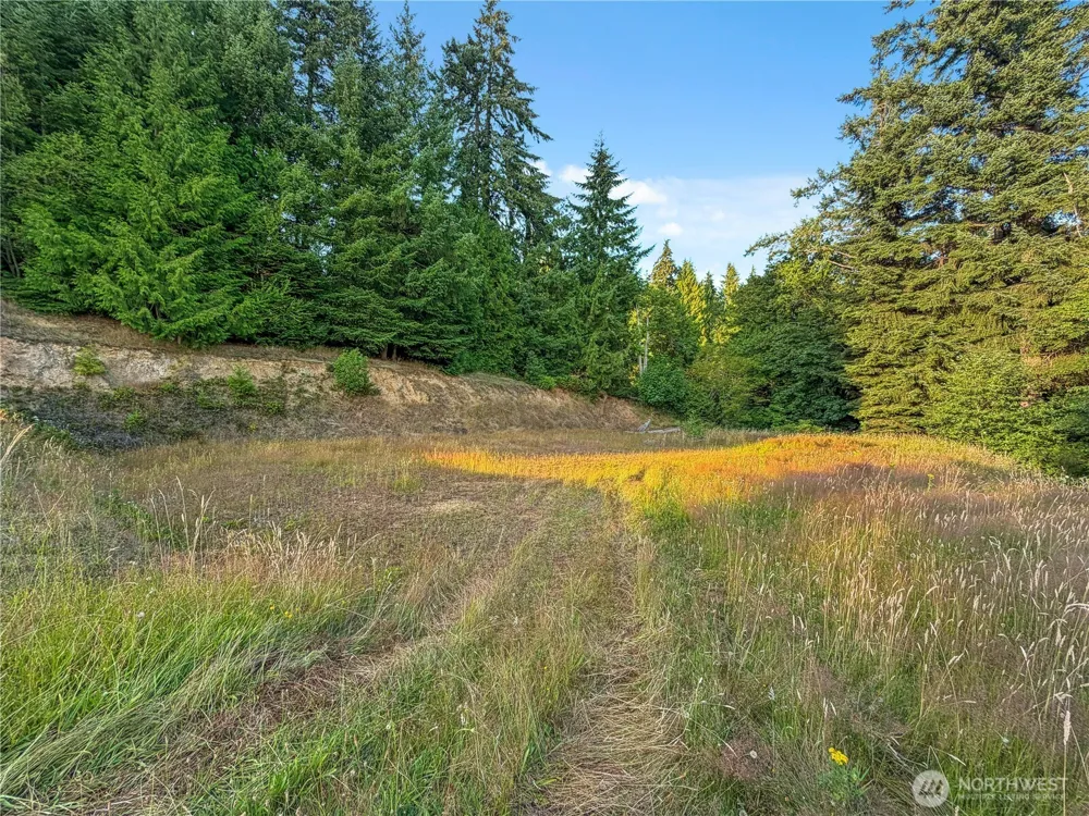 26 Riverview East Road Cathlamet, WA 98612