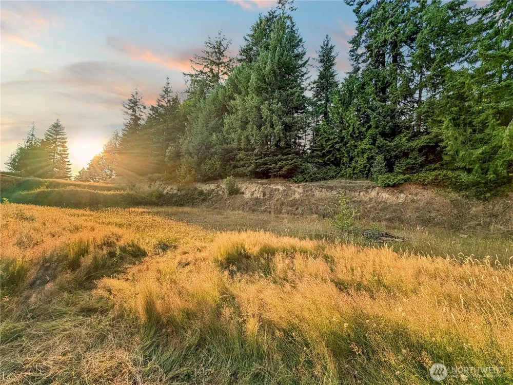 26 Riverview East Road Cathlamet, WA 98612