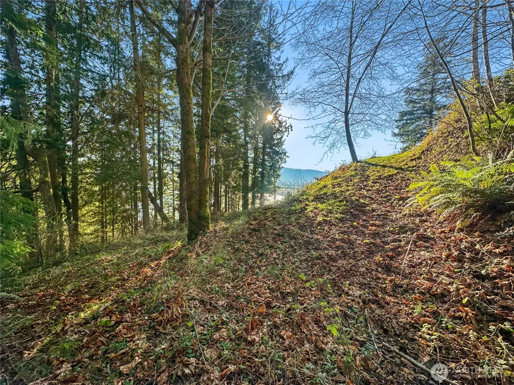 26 Riverview East Road Cathlamet, WA 98612