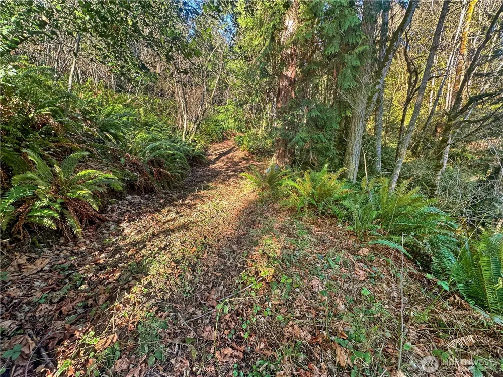 26 Riverview East Road Cathlamet, WA 98612