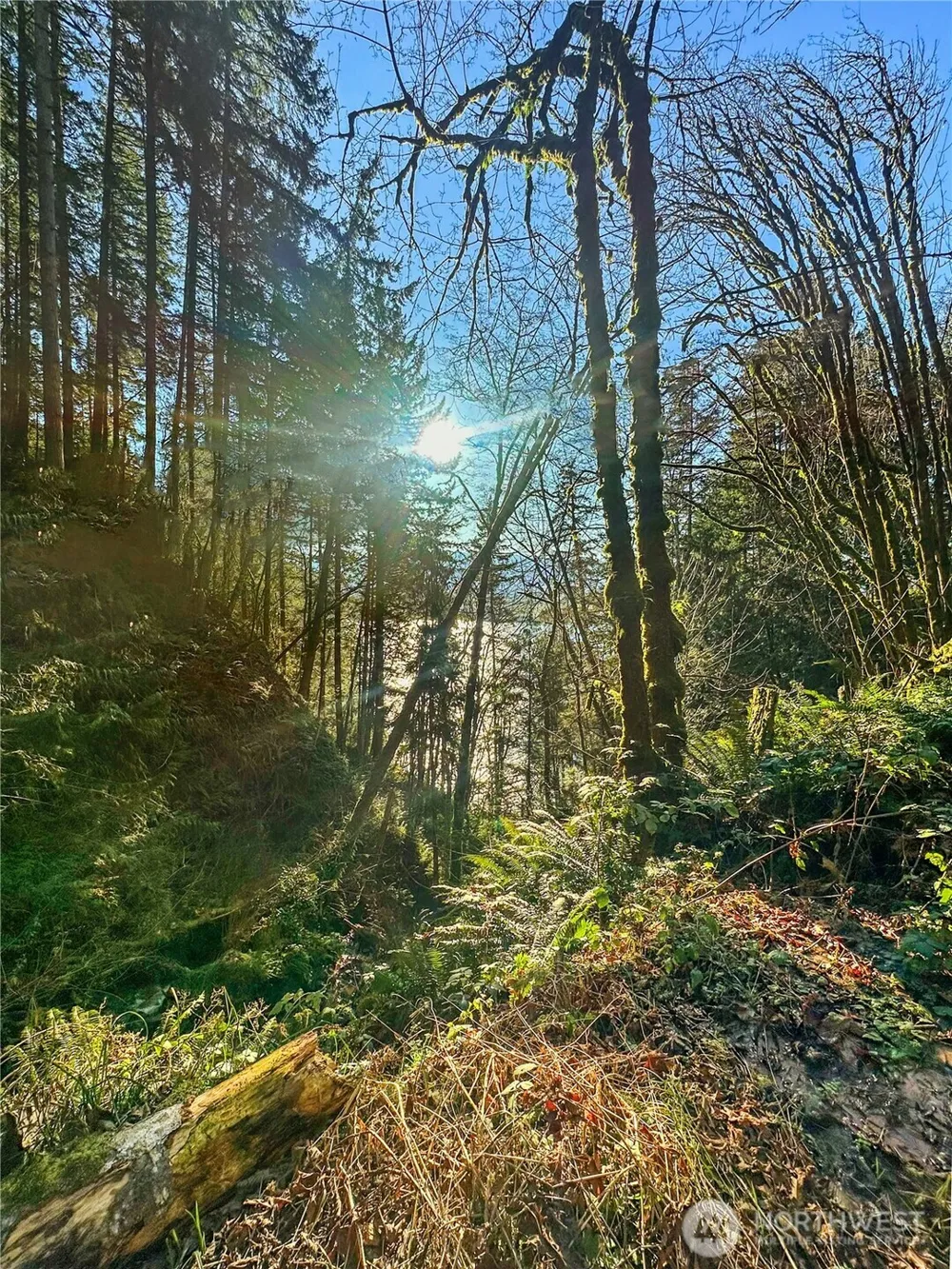 26 Riverview East Road Cathlamet, WA 98612
