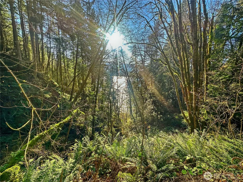 26 Riverview East Road Cathlamet, WA 98612
