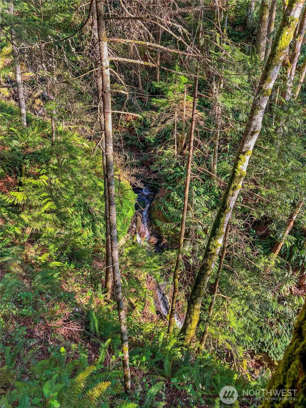 26 Riverview East Road Cathlamet, WA 98612